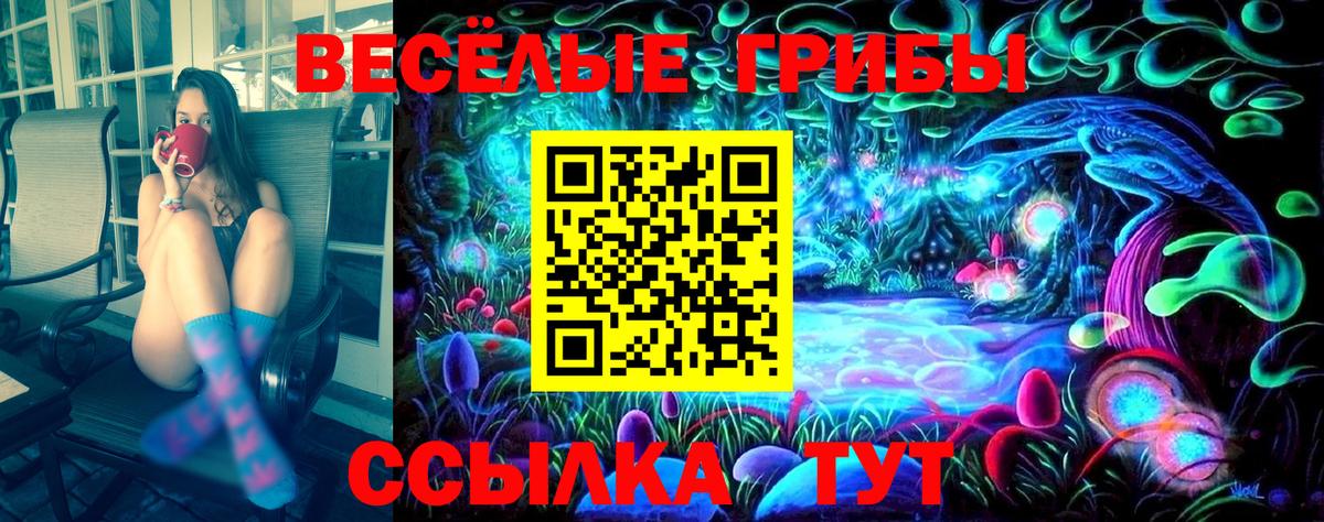 Галлюциногенные грибы Magic Shrooms  Вход с VPN  закладки  Кимры  Галлюциногенные грибы Psilocybe 